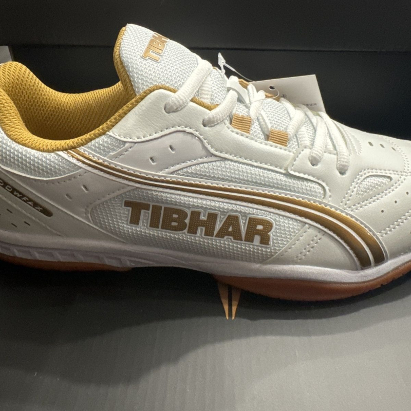 Classic Brand Table Tennis Sho - Shoe Non Slip Badminton avis et prix